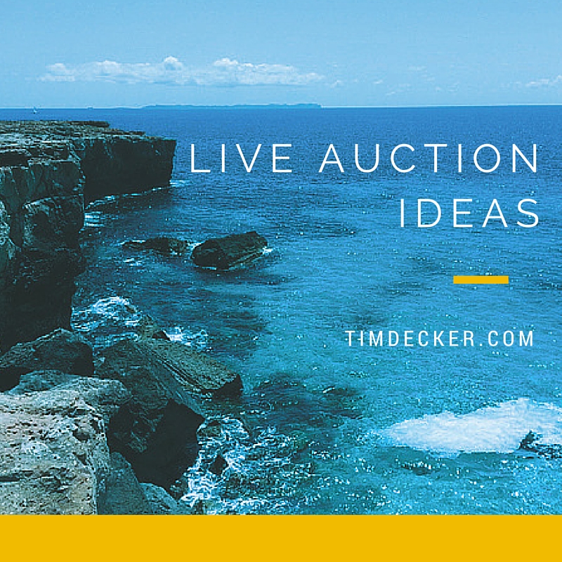 Charity Event Planning: Live Auction Ideas